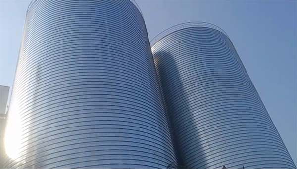 柞水2座混凝土高架卷板仓